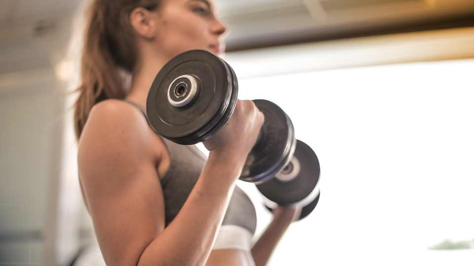 Beginner workout plan for men
